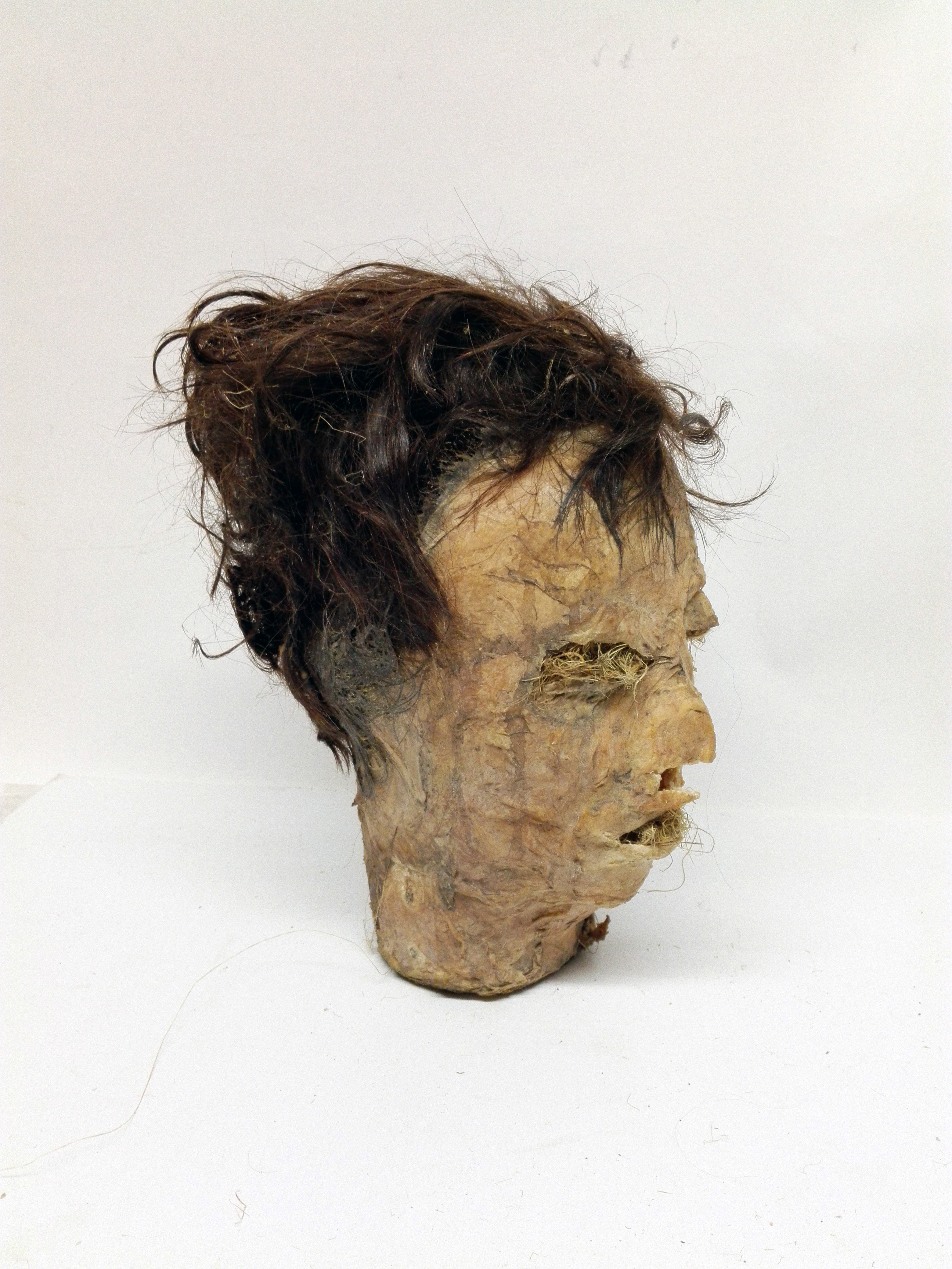 cabeza no8 hombre momificado replica 28x14x20 1u